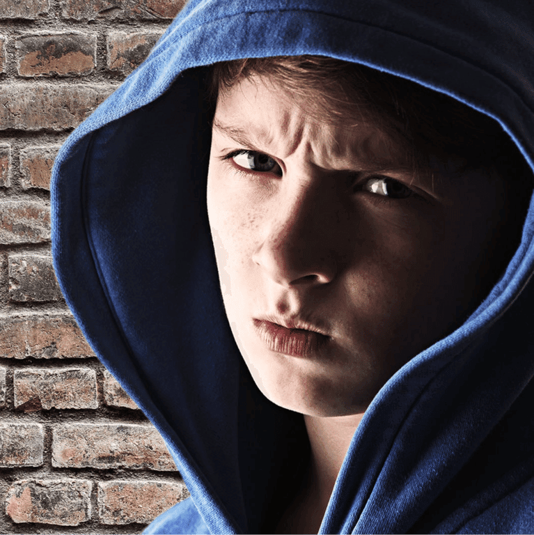 Basisonderwijs Cursus | Het Lesgeven aan Leerlingen die Complex Trauma Hebben Meegemaakt (Engelstalig)