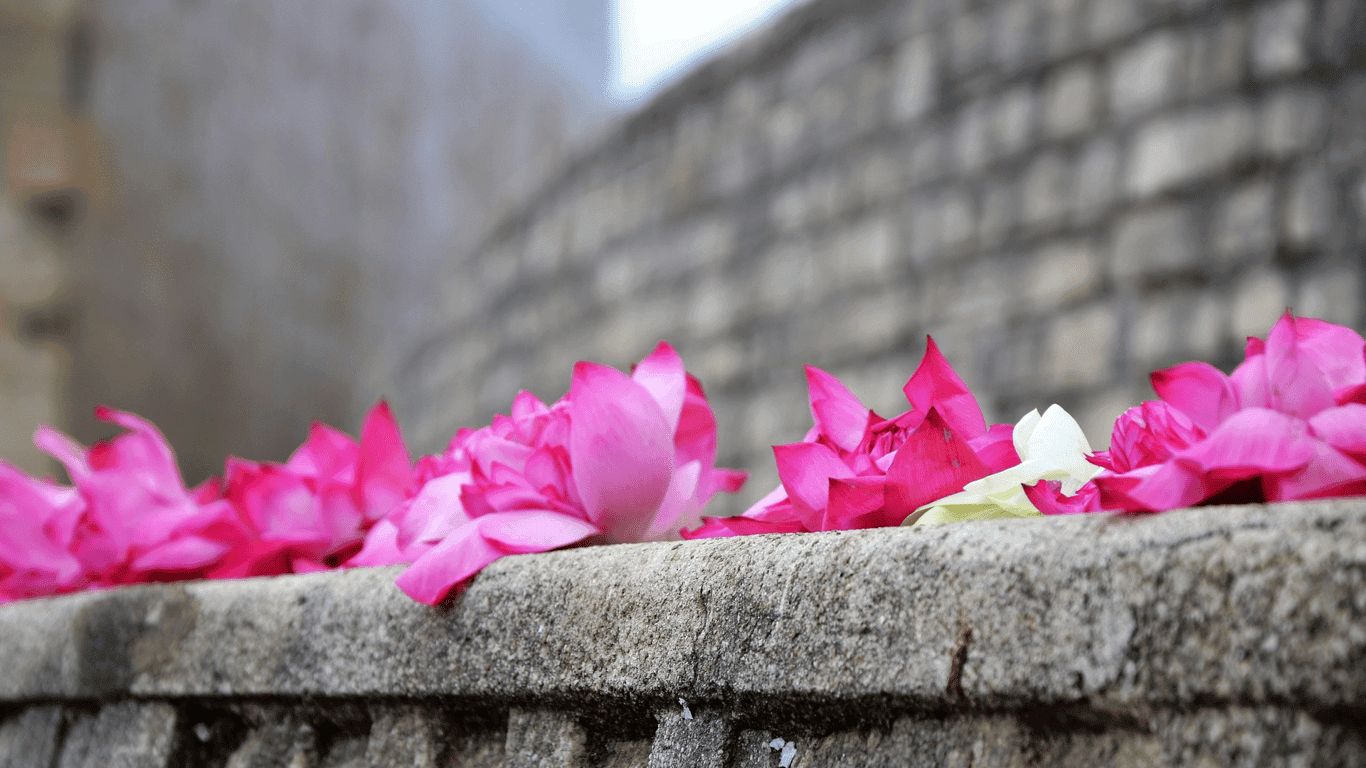 Hana Matsuri – Bloemenfeest