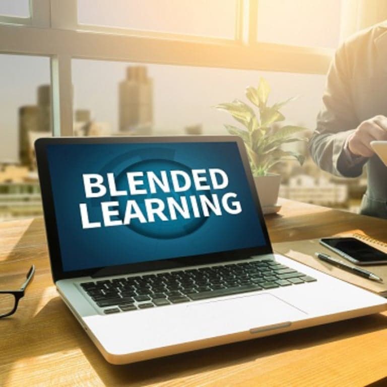Basisonderwijs Cursus | Blended Learning Cursus voor Leraren (Engelstalig)