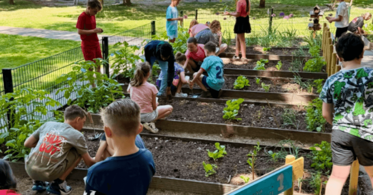 Schooltuinboost Zuid-Holland geeft versnelling aan het schooltuinonderwijs