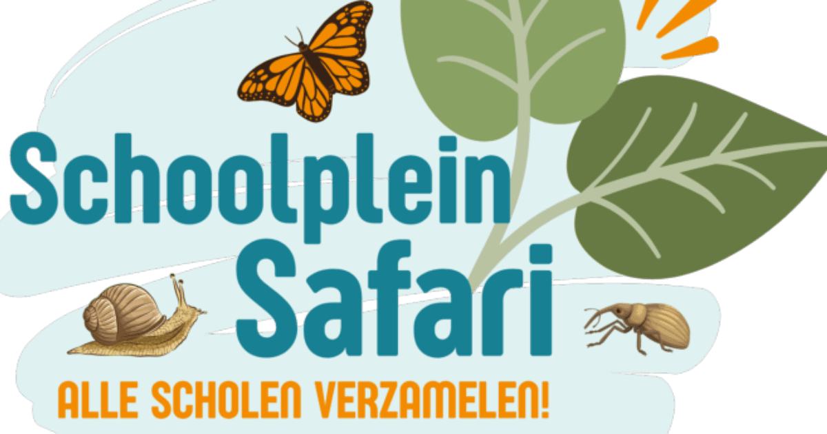 Basisschoolleerlingen groep 6/7/8 op Schoolplein Safari