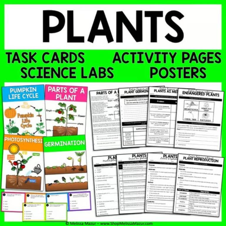 Basisonderwijs Lespakket | Planten