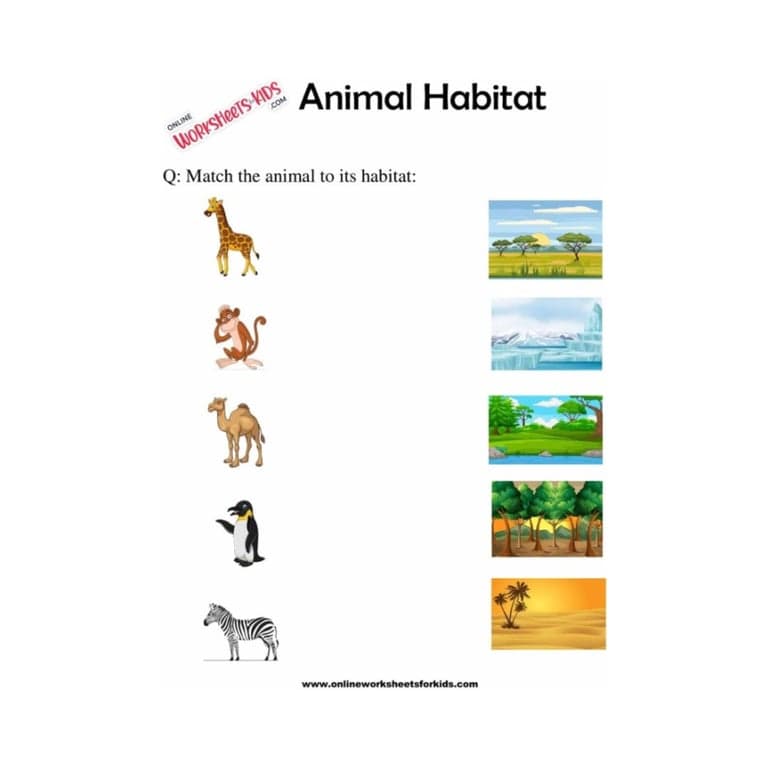 Basisonderwijs Werkblad | Dieren Habitats Werkbladen voor Groep 3 (Engelstalig)