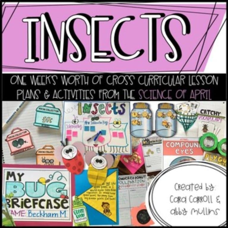 Basisonderwijs Lespakket | Insecten (Engelstalig)