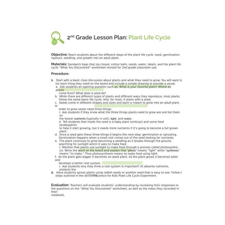 Basisonderwijs Lesidee | Lesplan 2e Graad: Levenscyclus van Planten