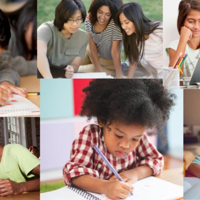 Basisonderwijs Cursus | Executive Functions Coaching & Study Strategies Certificeringscursus (Engelstalig)