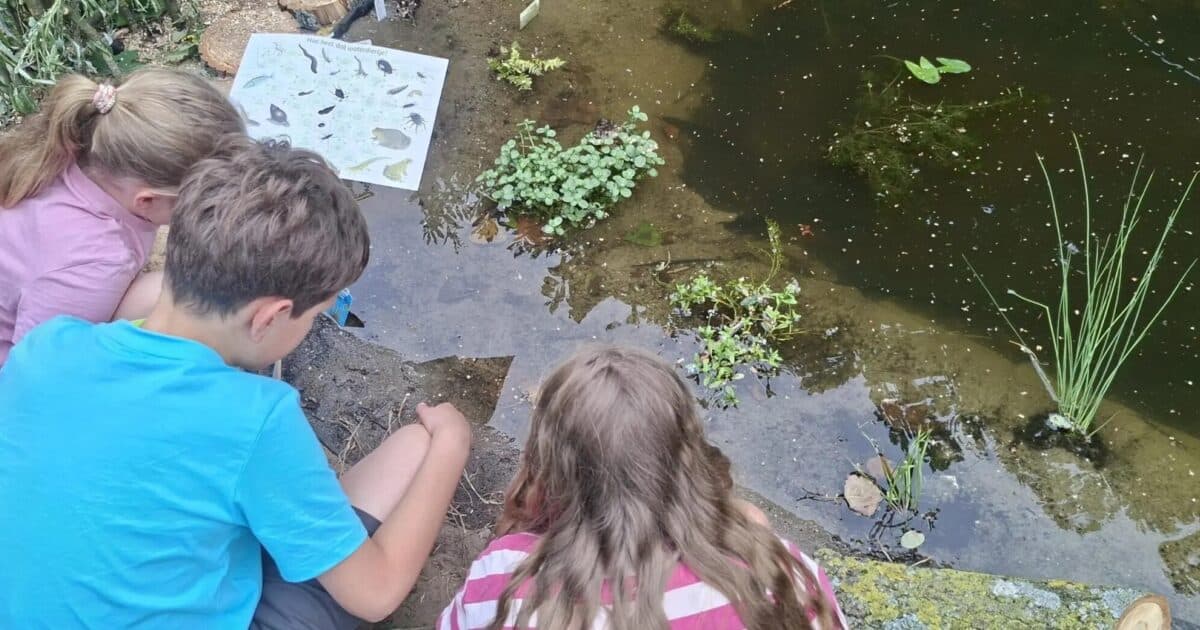 1e Van der Huchtschool in Soest krijgt eerste Tiny Poel