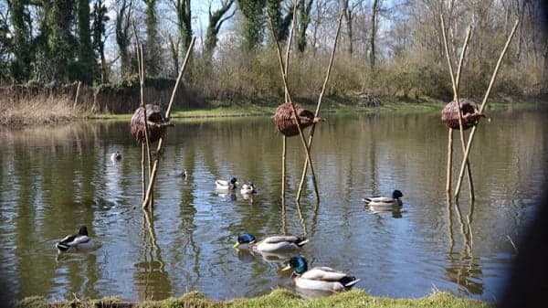 IVN Zeeland zoekt buitenlokalen in Zeeland