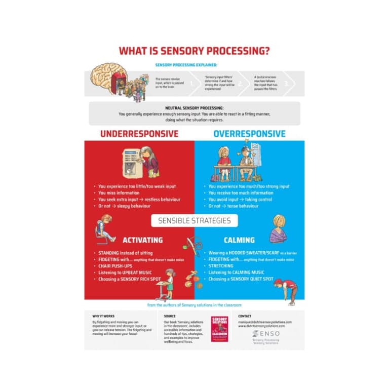 Basisonderwijs Poster | Wat is Sensorische Verwerking?