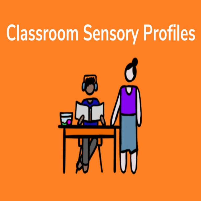 Basisonderwijs Cursus | Sensorische Profielen Online Training