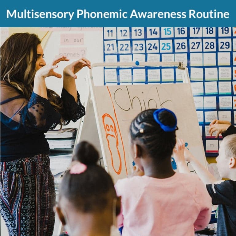 Basisonderwijs Cursus | De Phonics in Motion Online Cursus op Aanvraag (Engelstalig)