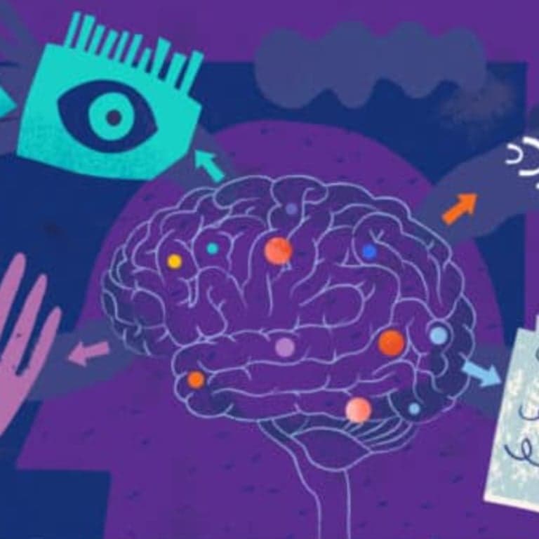 Basisonderwijs Cursus | Gratis Online Cursus Sensorische Verwerking (Engelstalig)