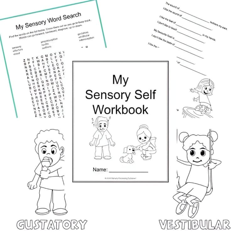 Basisonderwijs Werkboek | Mijn Zintuiglijke ik Voor Kinderen