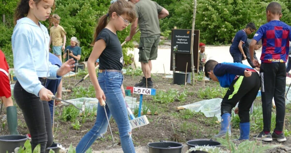 Week van de Schooltuin van 22 tot 26 mei