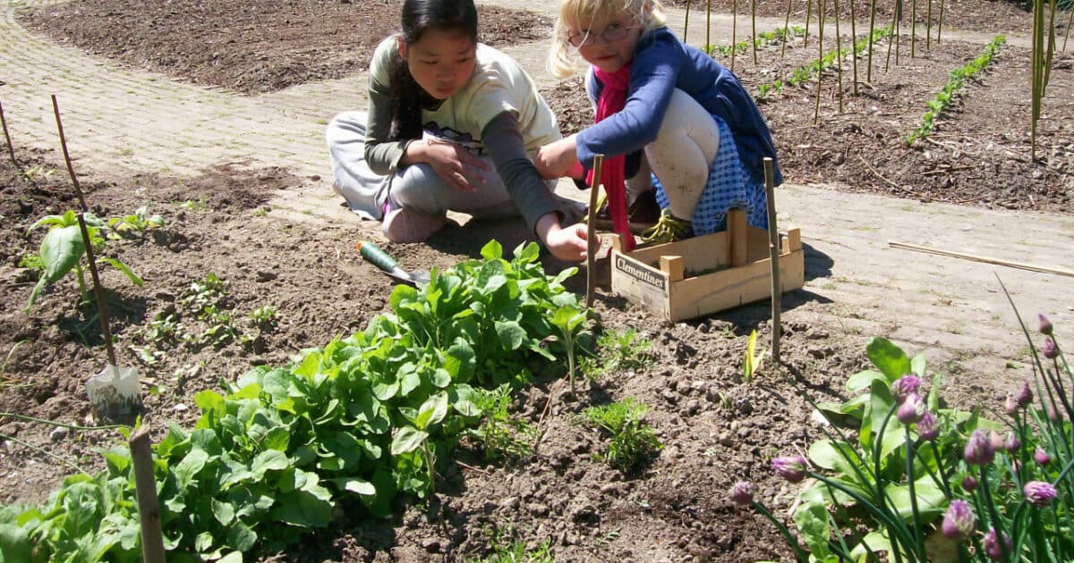 Coach Gezonde Kinderopvang? Vraag nu subsidie aan!