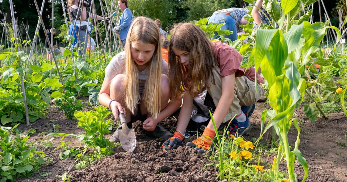 Ondersteunersbijeenkomst Week van de Schooltuin 2026