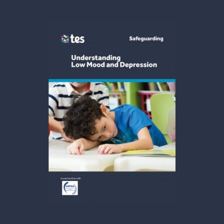 Basisonderwijs Cursus | Begrip van Somberheid en Depressie (Engelstalig)