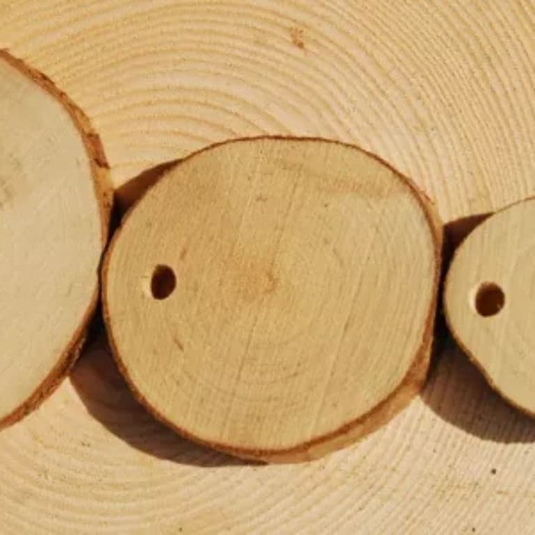 Basisonderwijs Lesidee | Boor een Houten Schijf