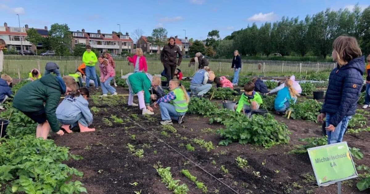 Nieuw Wereldrecord Schooltuinles: 3.768 leerlingen!
