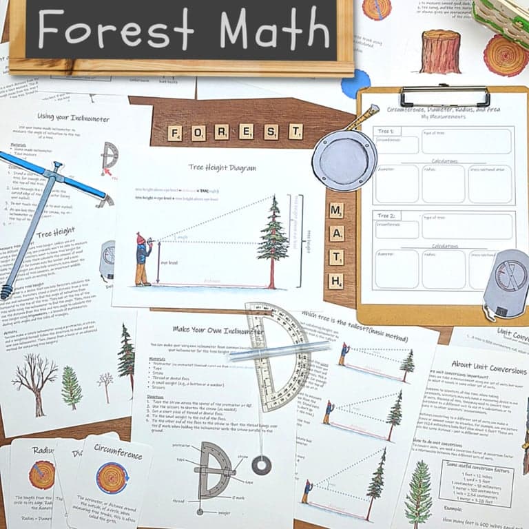 Basisonderwijs Lespakket | Wiskunde in het Bos: Een Eenheidsonderzoek met Buiten Toegepaste Wiskunde Activiteiten! (Engelstalig)