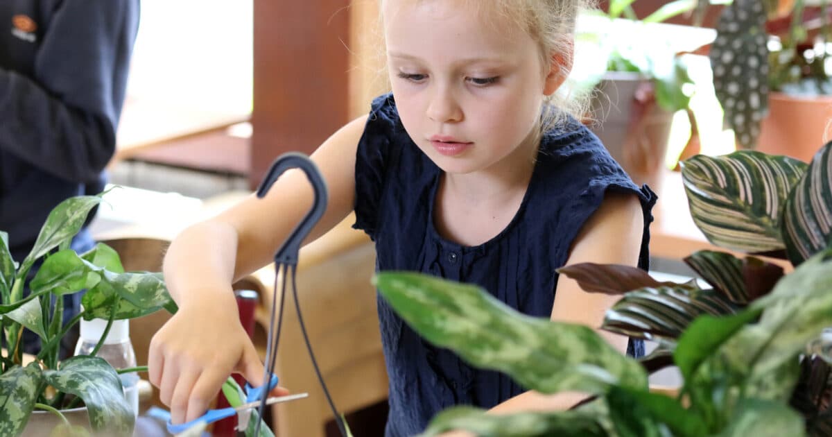 IVN zoekt 20 basisscholen die meedoen met het Living Lab BinnenBos