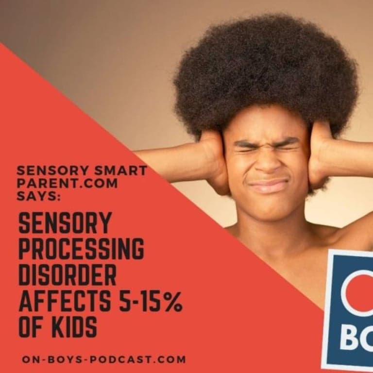 Basisonderwijs Podcast | Over Sensorische Stoornis met Nancy Peske