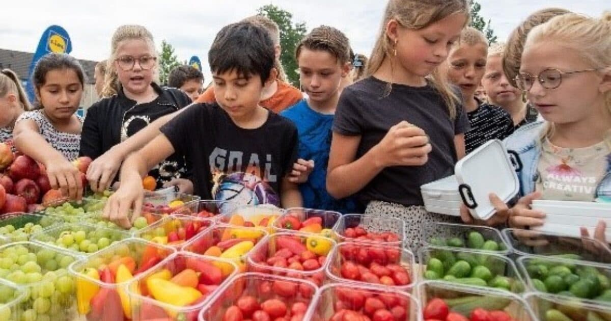 Inhoud lunchtrommel verre van gezond