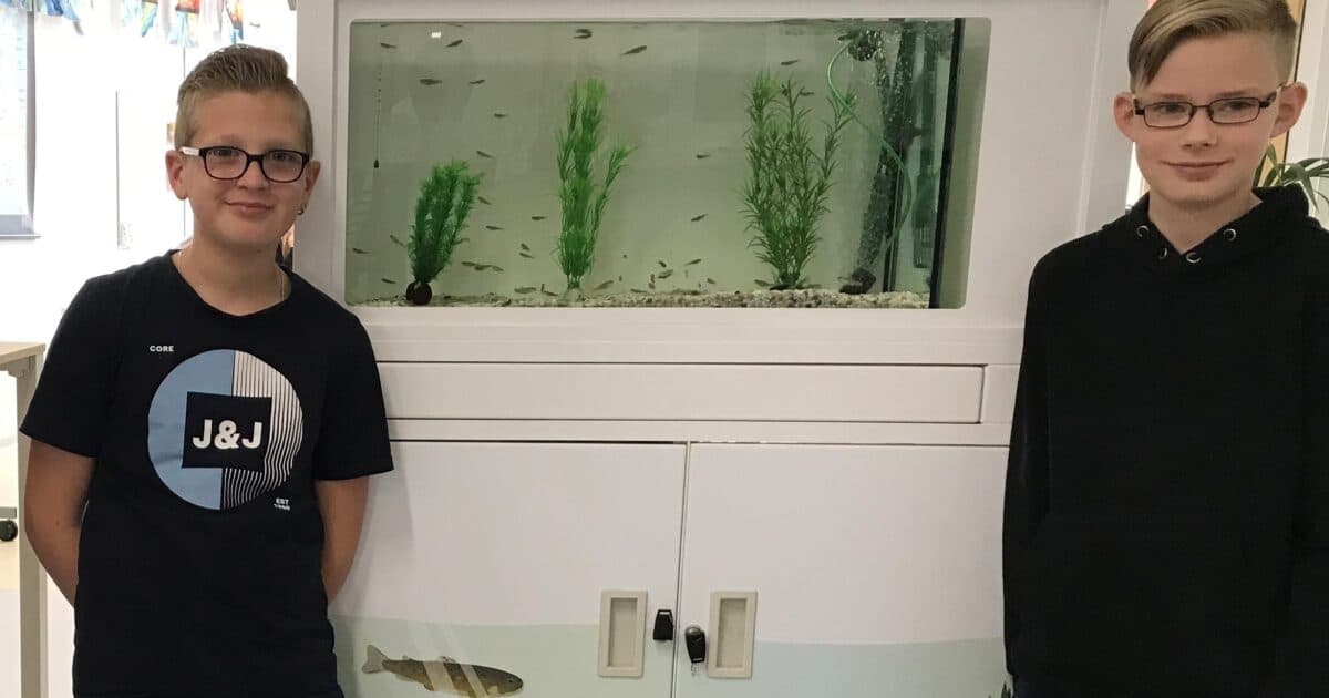 Basisscholen met aquarium in de klas