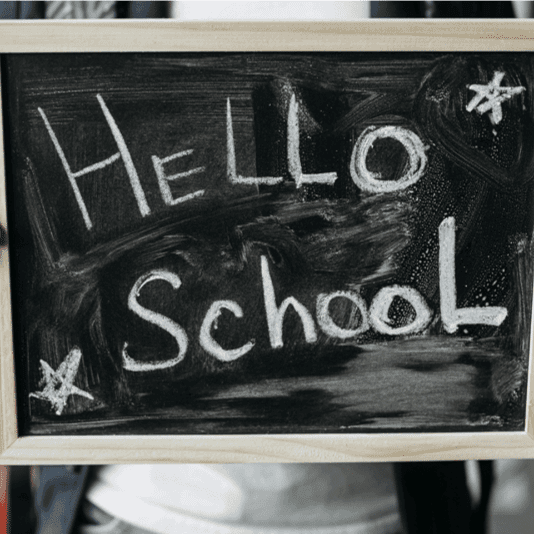 Basisonderwijs Cursus | Rouwgeïnformeerde Zorg: Omgaan met Trauma, Verlies en Zelfdoding op Scholen (Engelstalig)