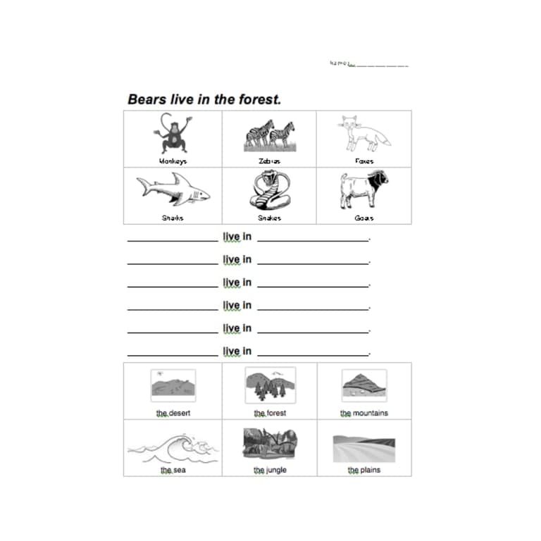Basisonderwijs Werkblad | Dieren Habitats Werkblad (Beginner ESL/EFL)