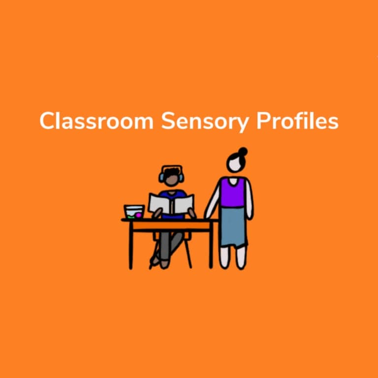 Basisonderwijs Training | Zintuiglijke Profielen Online Training