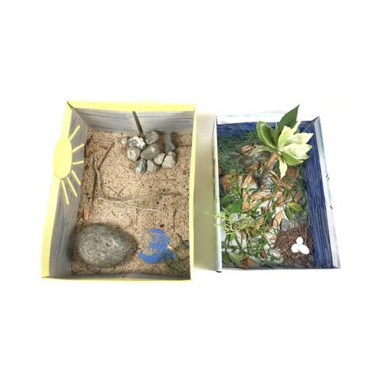 Basisonderwijs Lesidee | Maak een Miniatuur Habitat