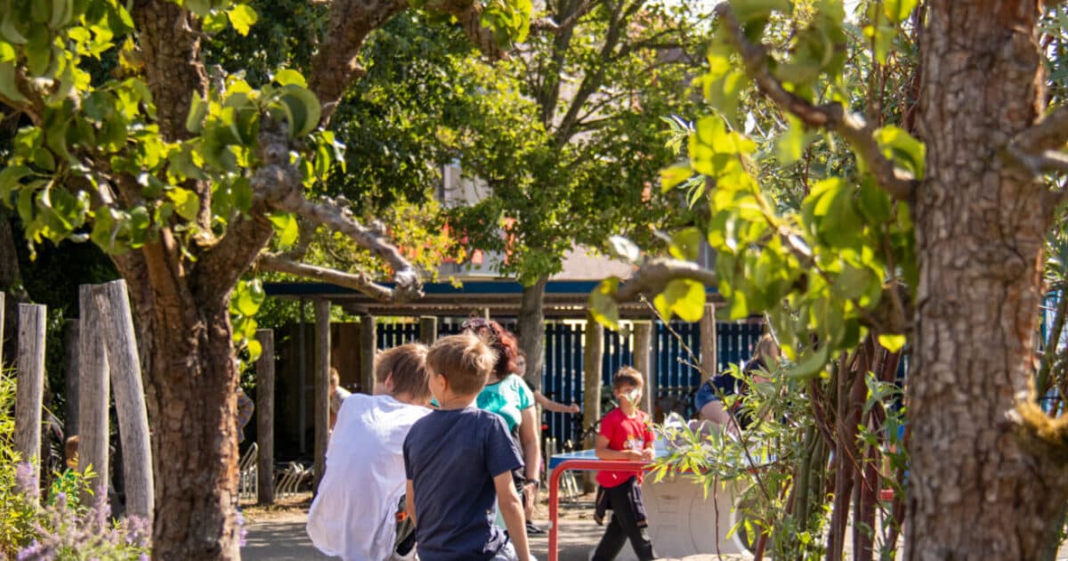Voucherregeling Groene Revolutie Zeeuwse Schoolpleinen