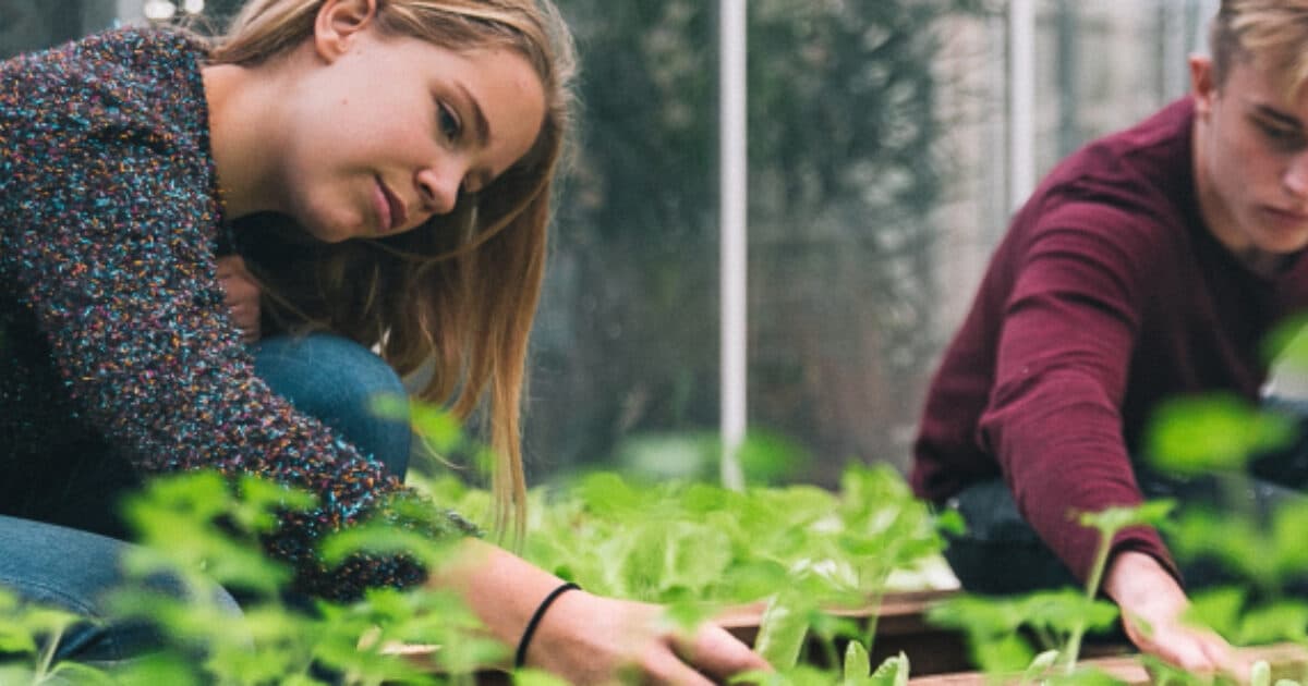 Ga aan de slag met voedselonderwijs in de maand oktober!