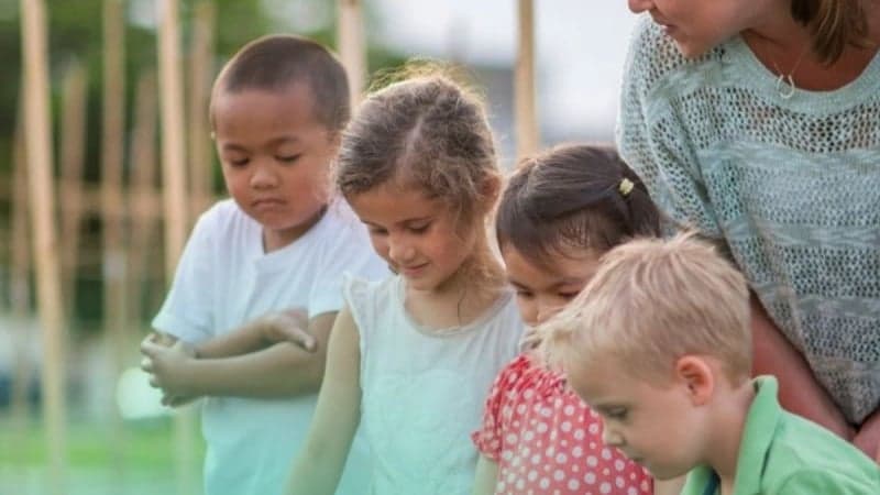 Behoefteonderzoek lesmateriaal schooltuin basisonderwijs