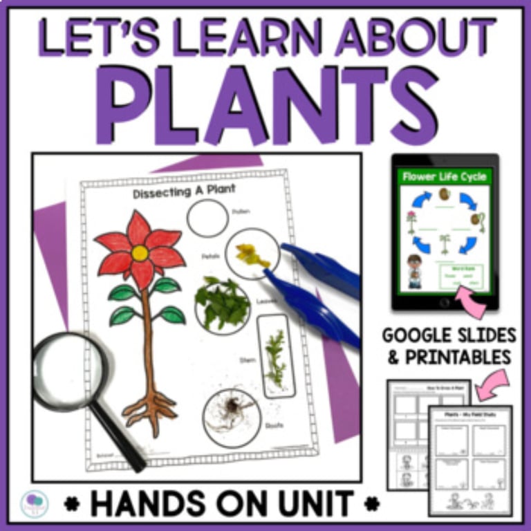 Basisonderwijs Lespakket | Alles over Planten - Levenscyclus van een Plant Thematische Eenheid
