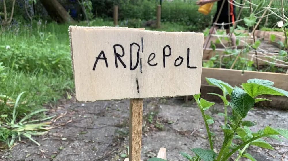 Giftige planten in de schooltuin