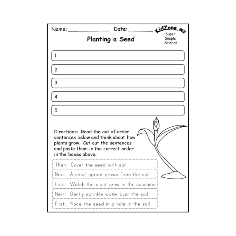 Basisonderwijs Werkblad | Een Zaadje Planten (Engelstalig)
