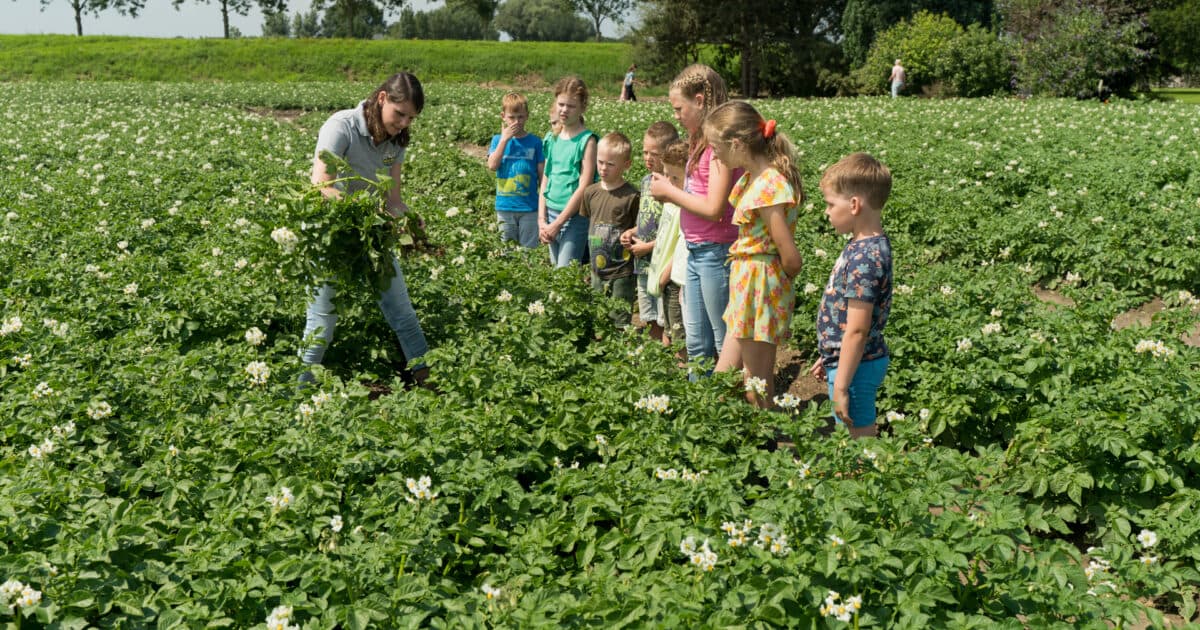 Met Akkerbouw Avonturen leren kinderen waar hun voedsel vandaan komt