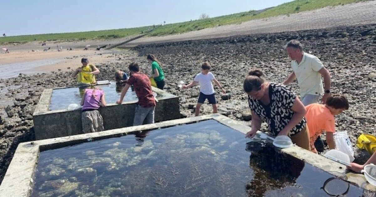 Pilotlessen voortgezet onderwijs over Nationaal Park Oosterschelde