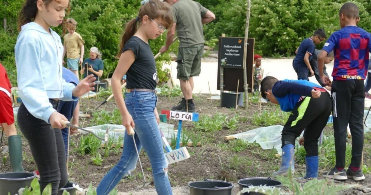 Online informatiebijeenkomst ondersteuners Week van de Schooltuin
