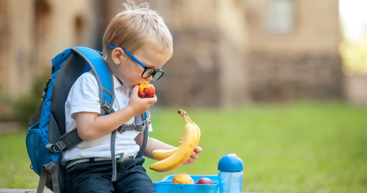 Recordaantal deelnemende scholen fruitproject