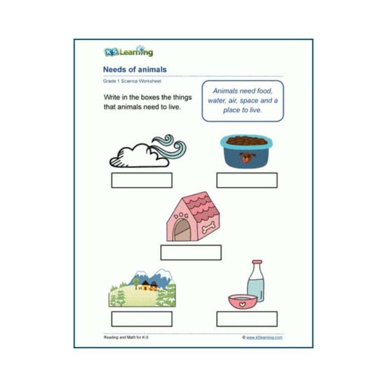 Basisonderwijs Werkblad | Behoeften van Dieren (Engelstalig)