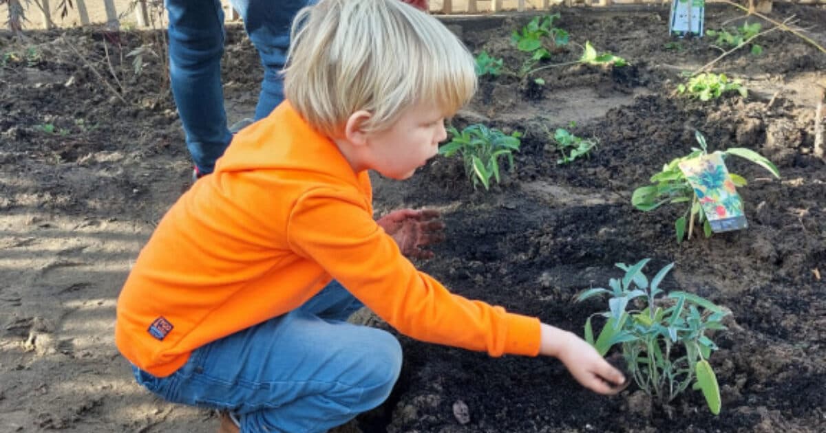 Voedselbosjes zoeken plek in Utrecht Oost