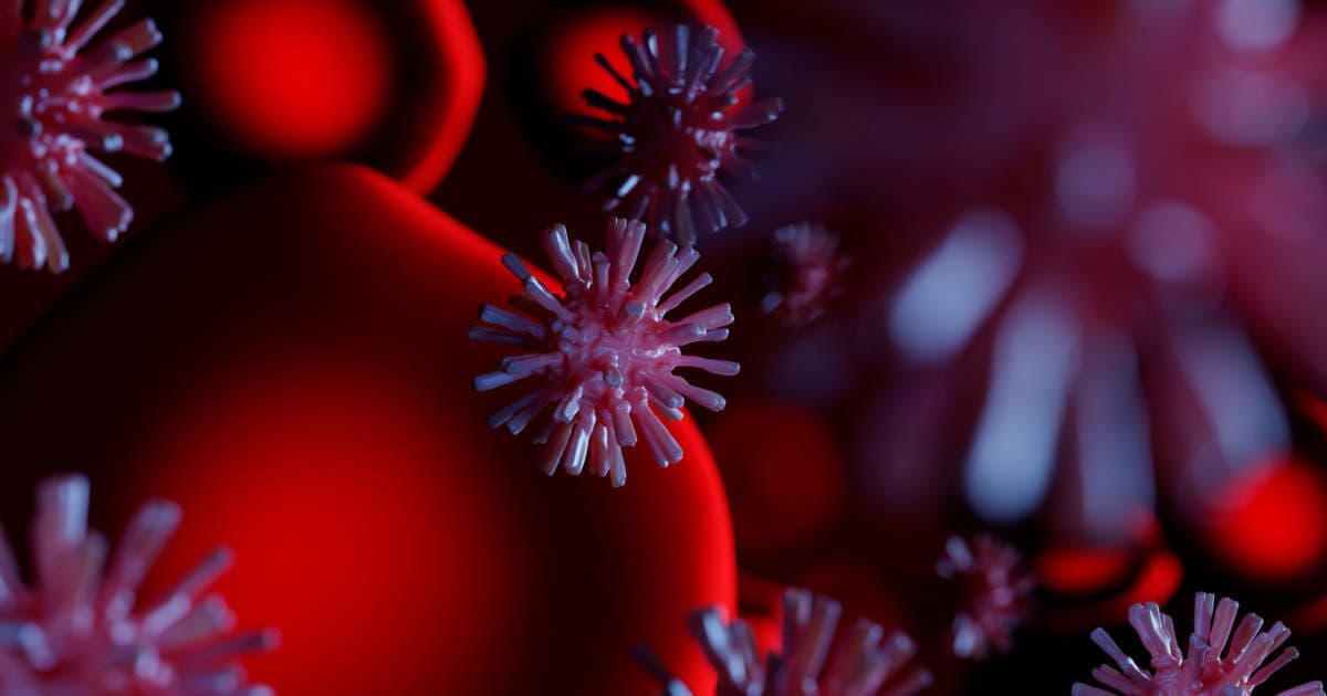 Coronavirus en de Gezonde School