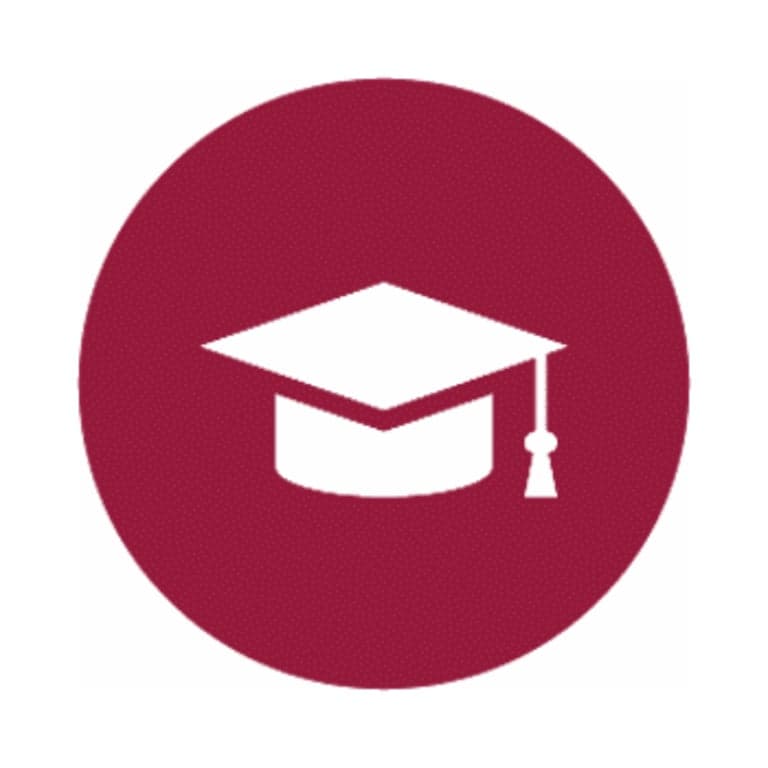 Basisonderwijs Cursus | Online Cursus: Een Inleiding tot Gehechtheid en Trauma in Educatieve Omgevingen