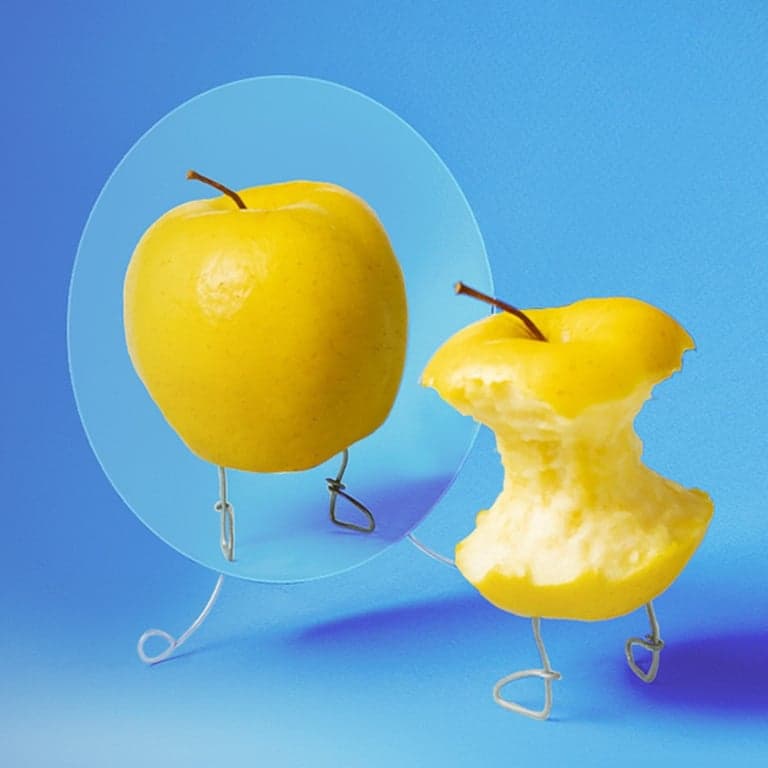 Basisonderwijs Training | Het Begrijpen van Eetproblemen (Engelstalig)
