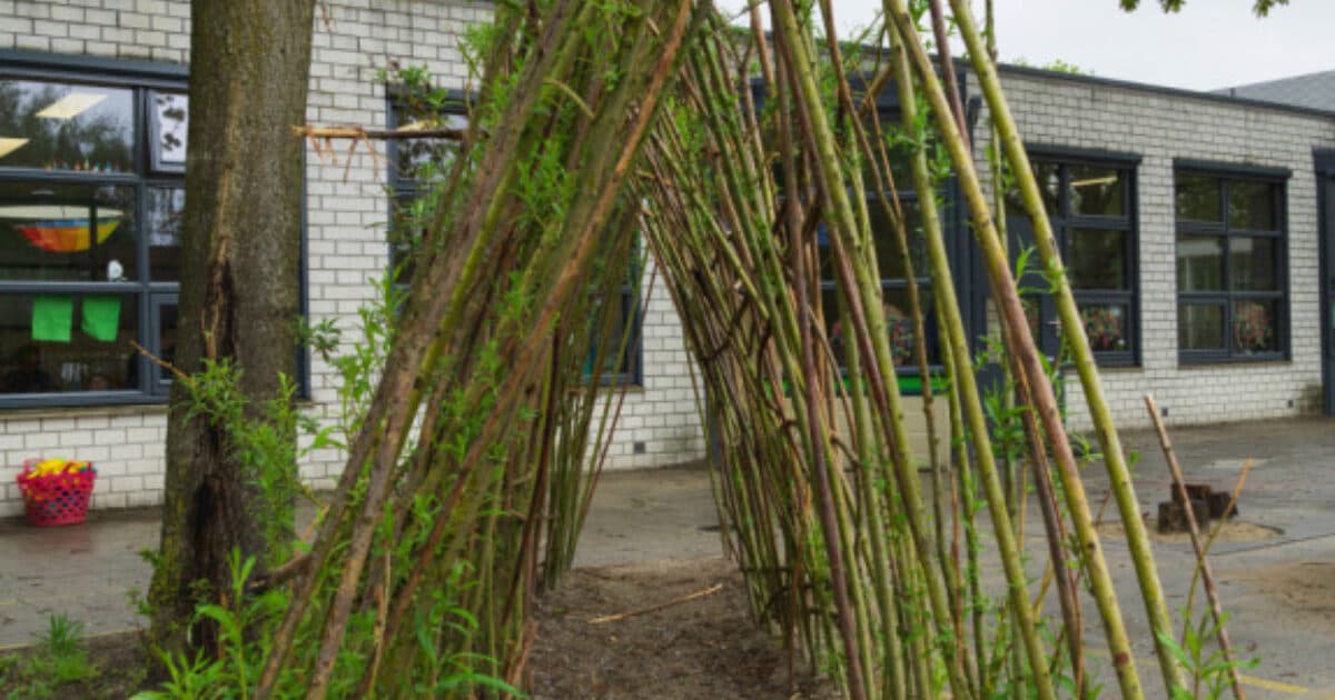 Win een wilgenhut voor je schoolplein