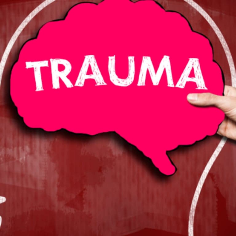 Basisonderwijs Workshop | Trauma-Sensitieve Klaslokalen (Engelstalig)