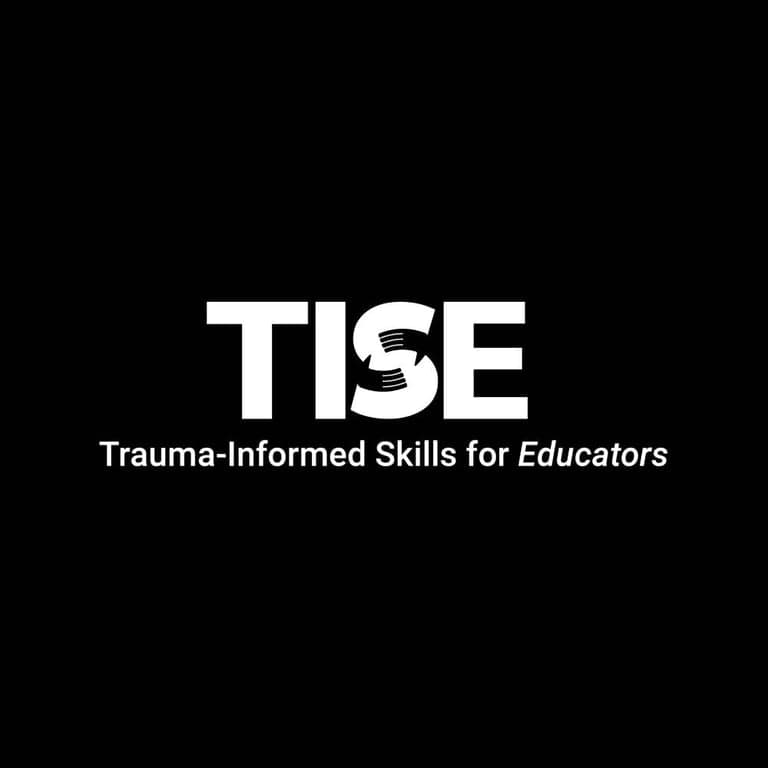 Basisonderwijs Training | Trauma Geïnformeerde Vaardigheden Voor Opvoeders